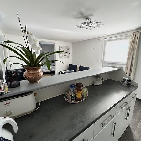 Appartement Detox Au Pied Du Semnoz Seynod Zewnętrze zdjęcie