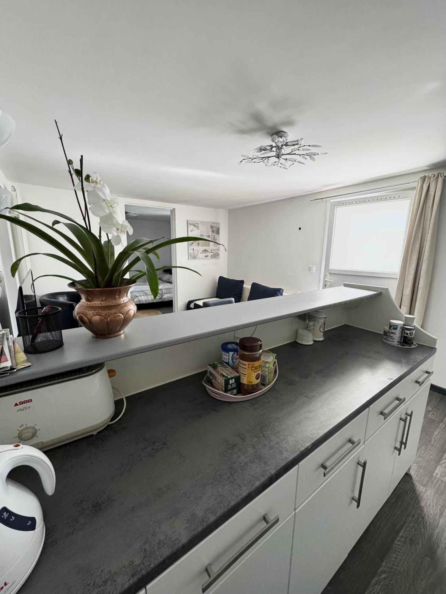 Appartement Detox Au Pied Du Semnoz Seynod Zewnętrze zdjęcie